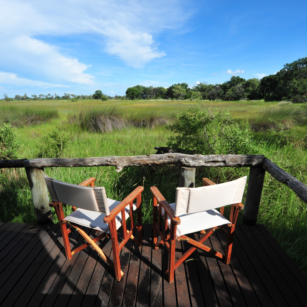 Botswana safari sunset over the savanna