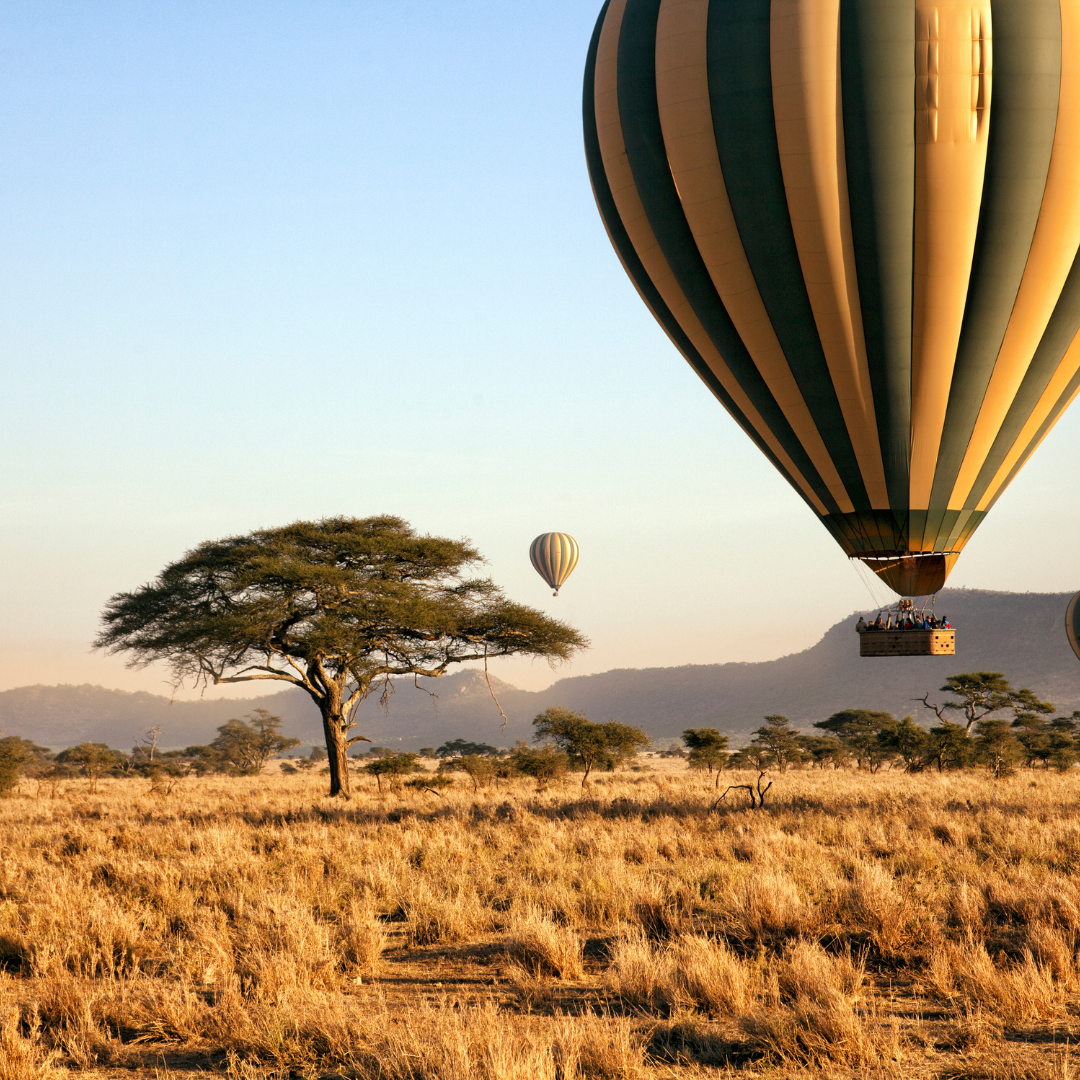 Serengeti balloon safari