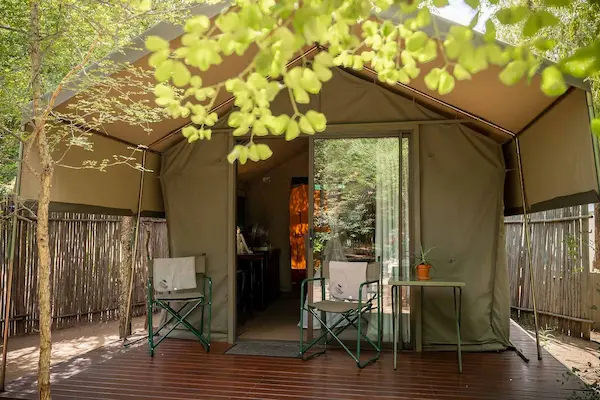 Standard safari tent at Umkumbe Bush Lodge