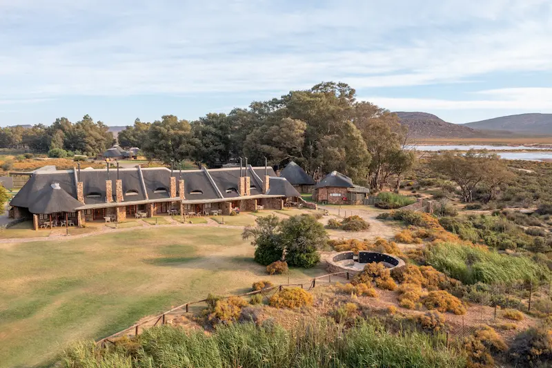 1 night Aquila safari from Cape Town