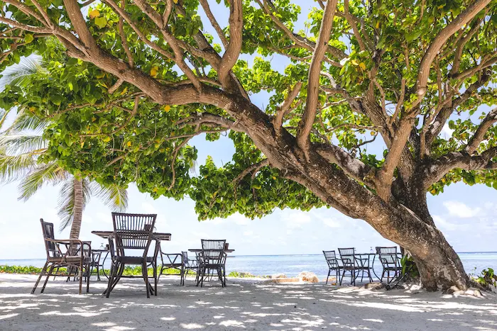 Breezes Beach Club beach restaurant