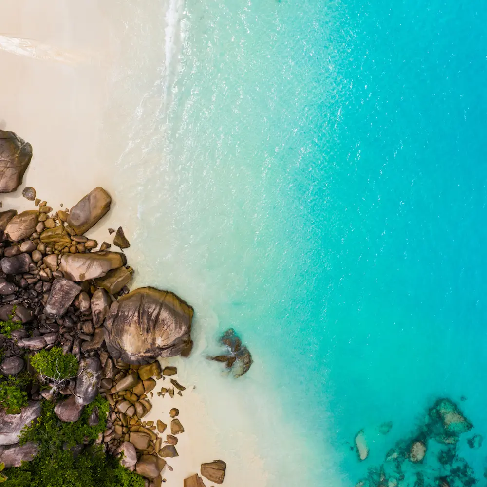 Best Time to Visit the Seychelles