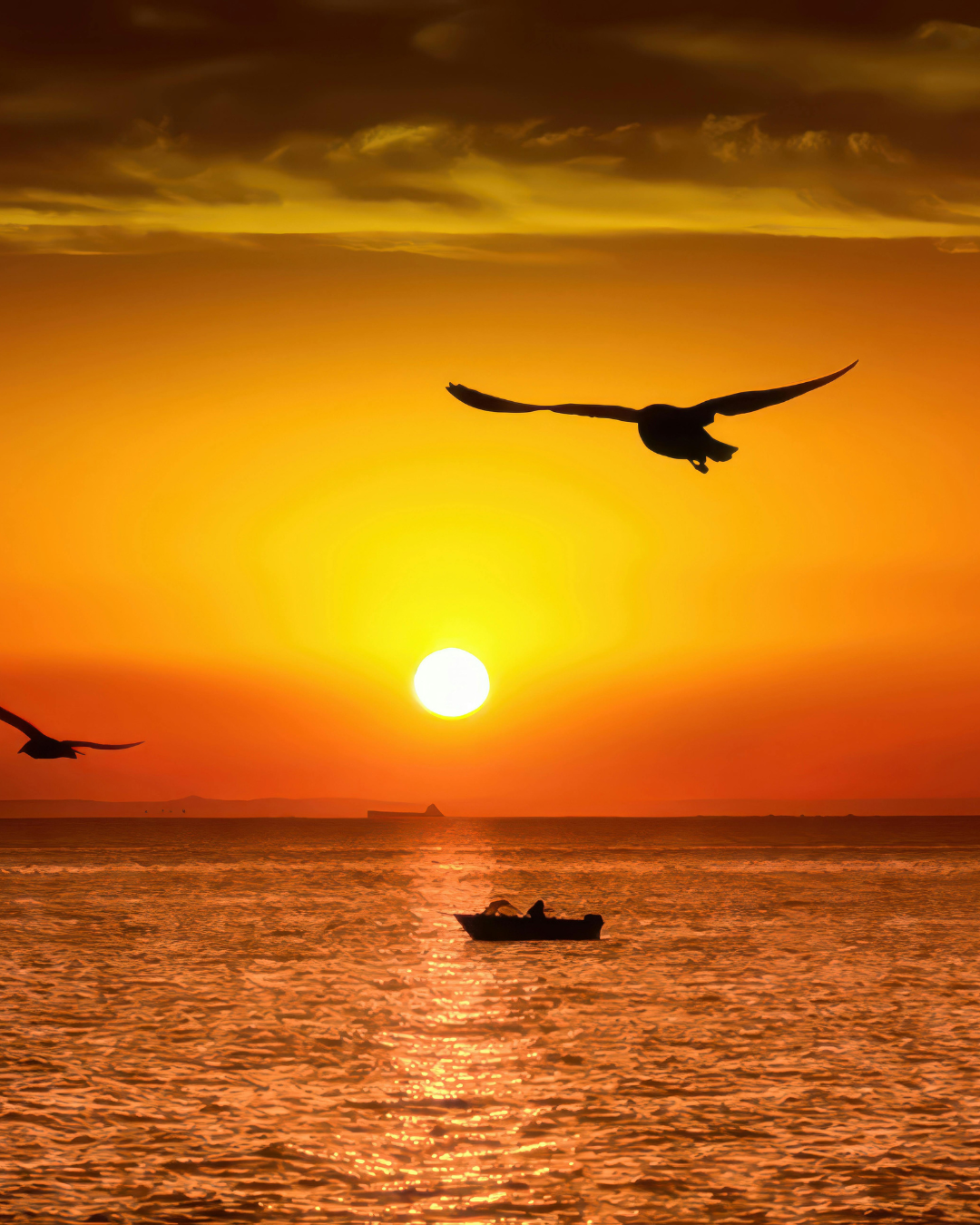 Caprivi Chobe and Okavango birding safaris