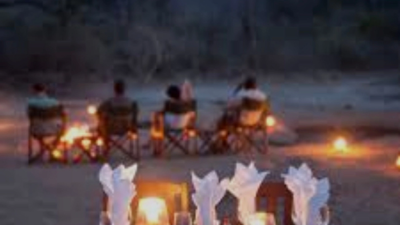 Night Drive with Bush Dinner