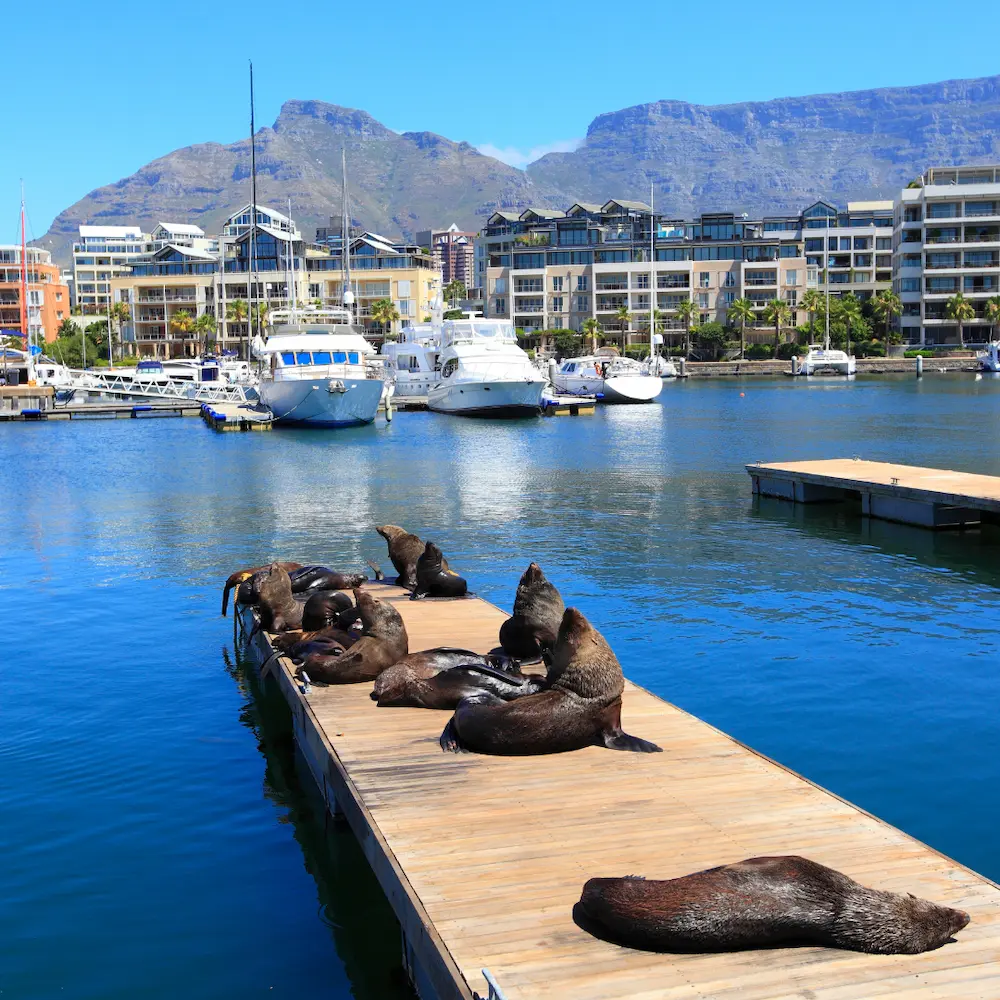 Cape Town Waterfront
