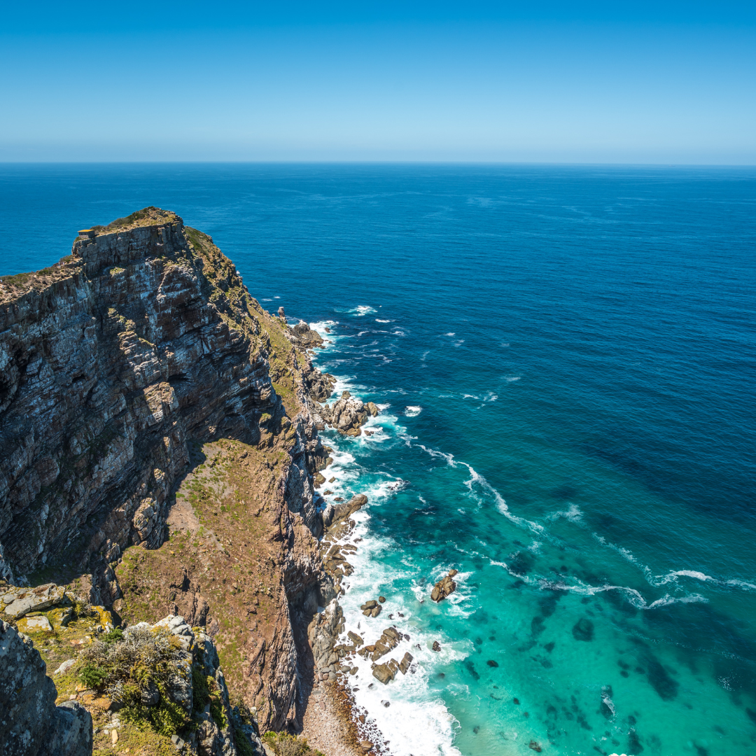 Cape Peninsula coast and Boulders penguins
