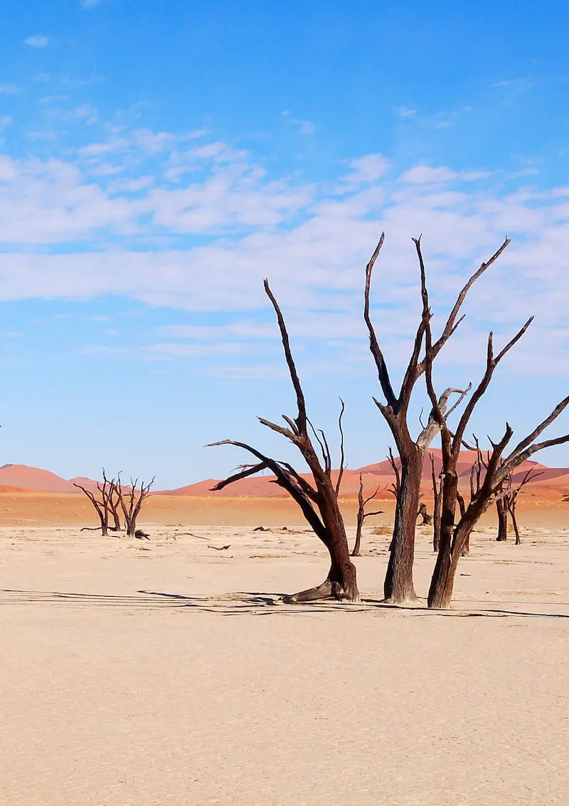 Skeleton Coast Namibia shipwreck landscape