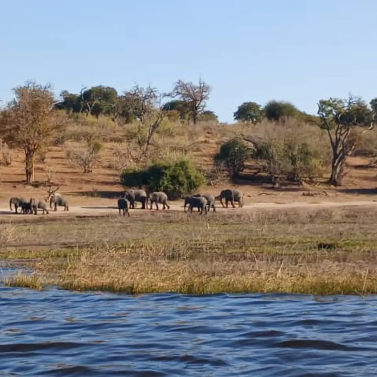 Johannesburg to Kruger safari road transfer