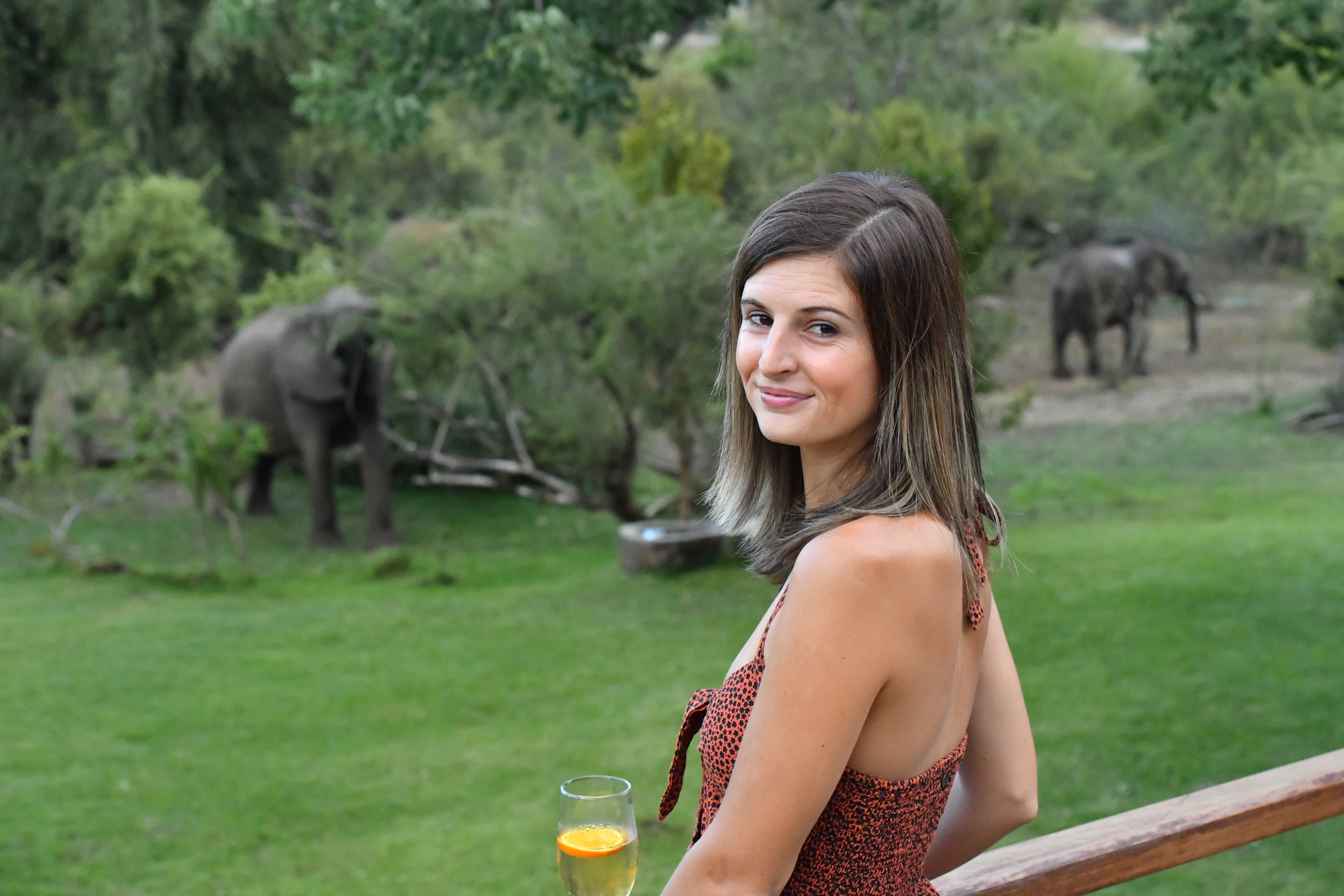Elephants near Ilala Lodge in Victoria Falls