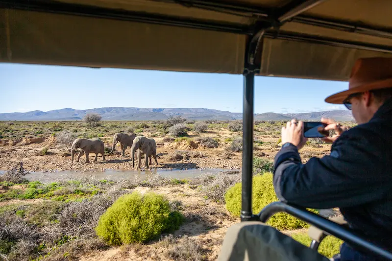 Safari experience near Cape Town