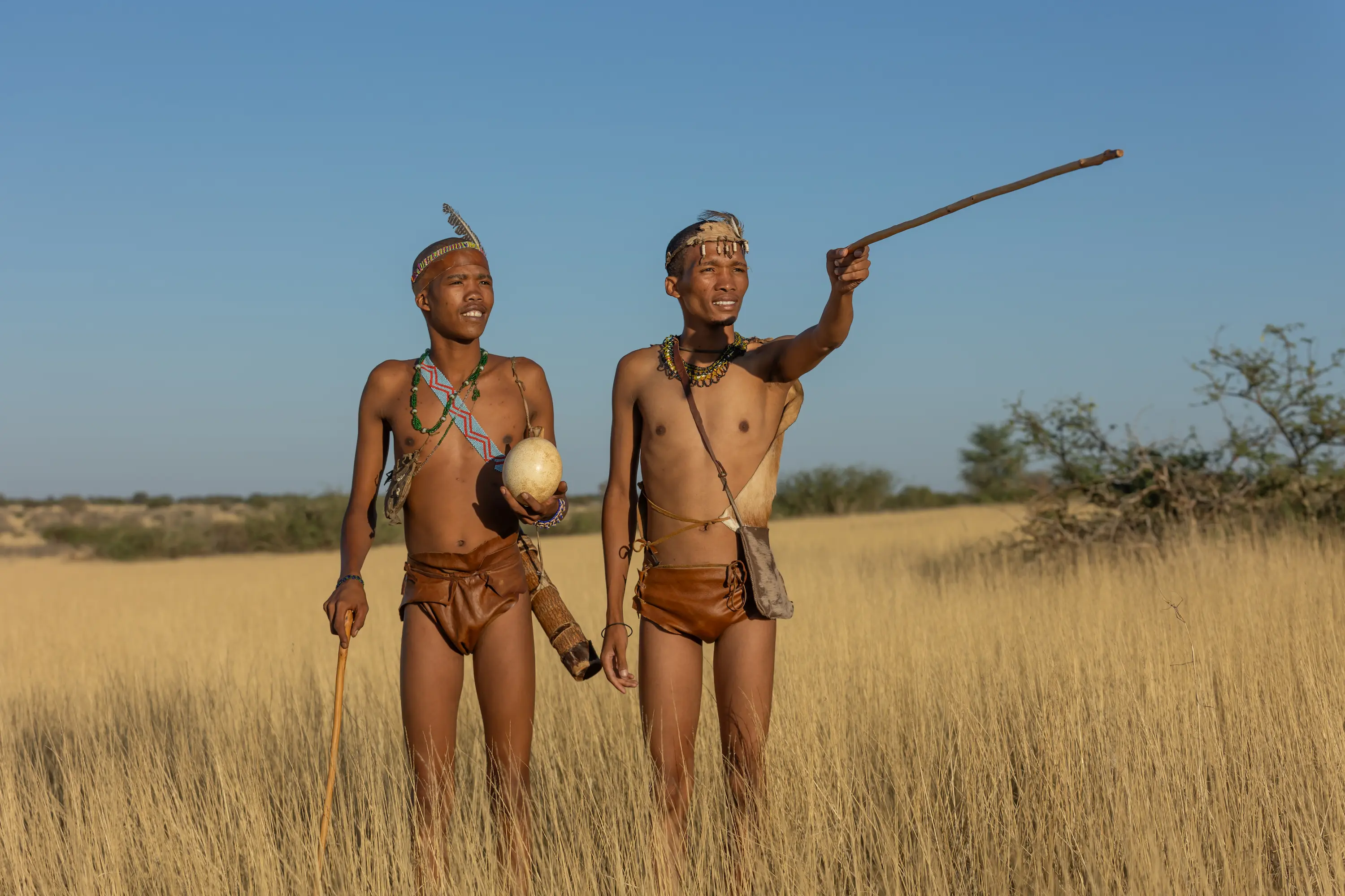 Bushmen Wisdom Experience in the Kalahari