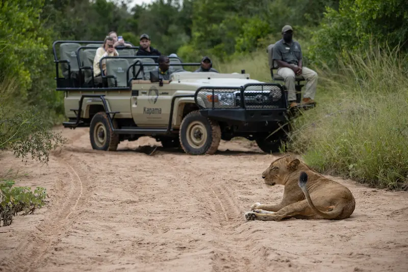 Big Five corporate safari incentive in Kruger