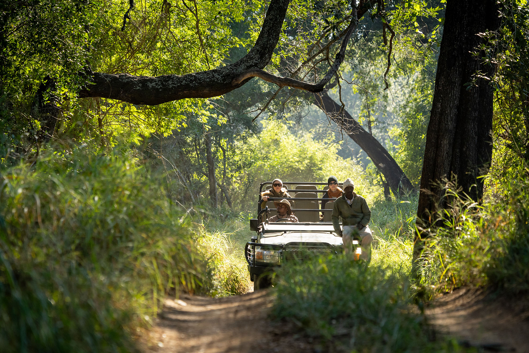 Karongwe safari bush drive