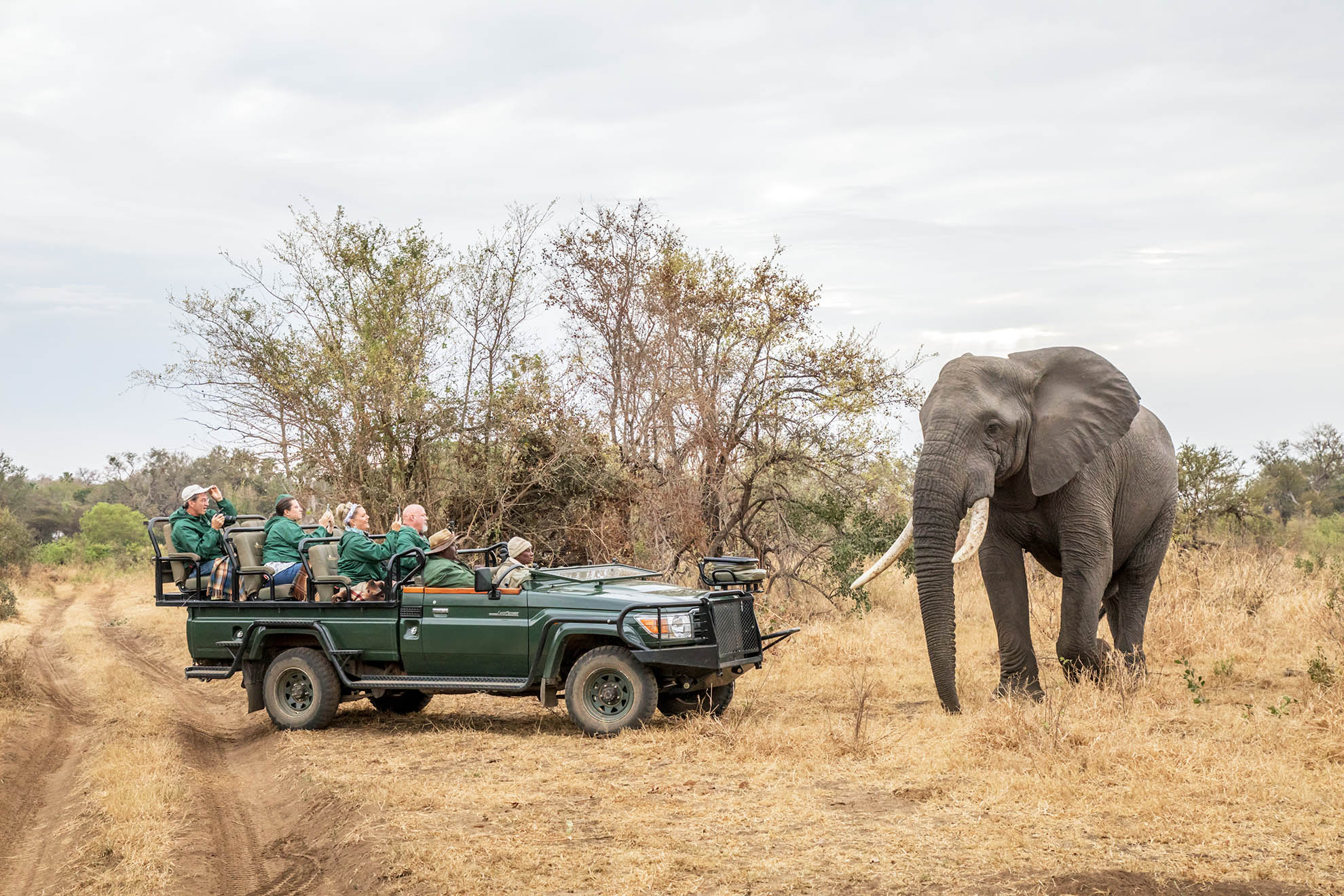 Karongwe Private Game Reserve Big Five game drive