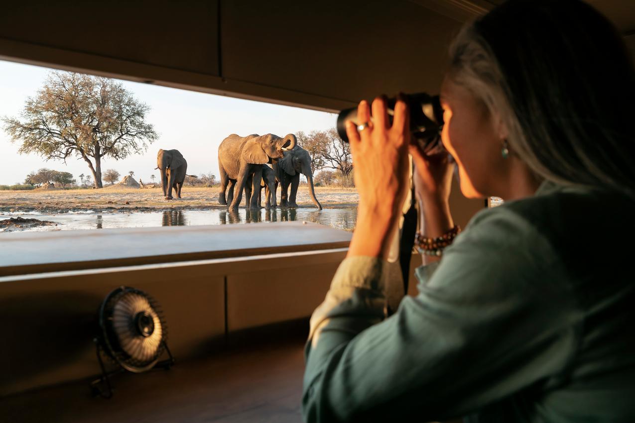 Photographic hide at a waterhole at Linkwasha in Hwange