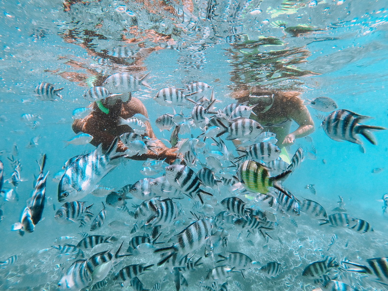 Snorkelling in Mauritius
