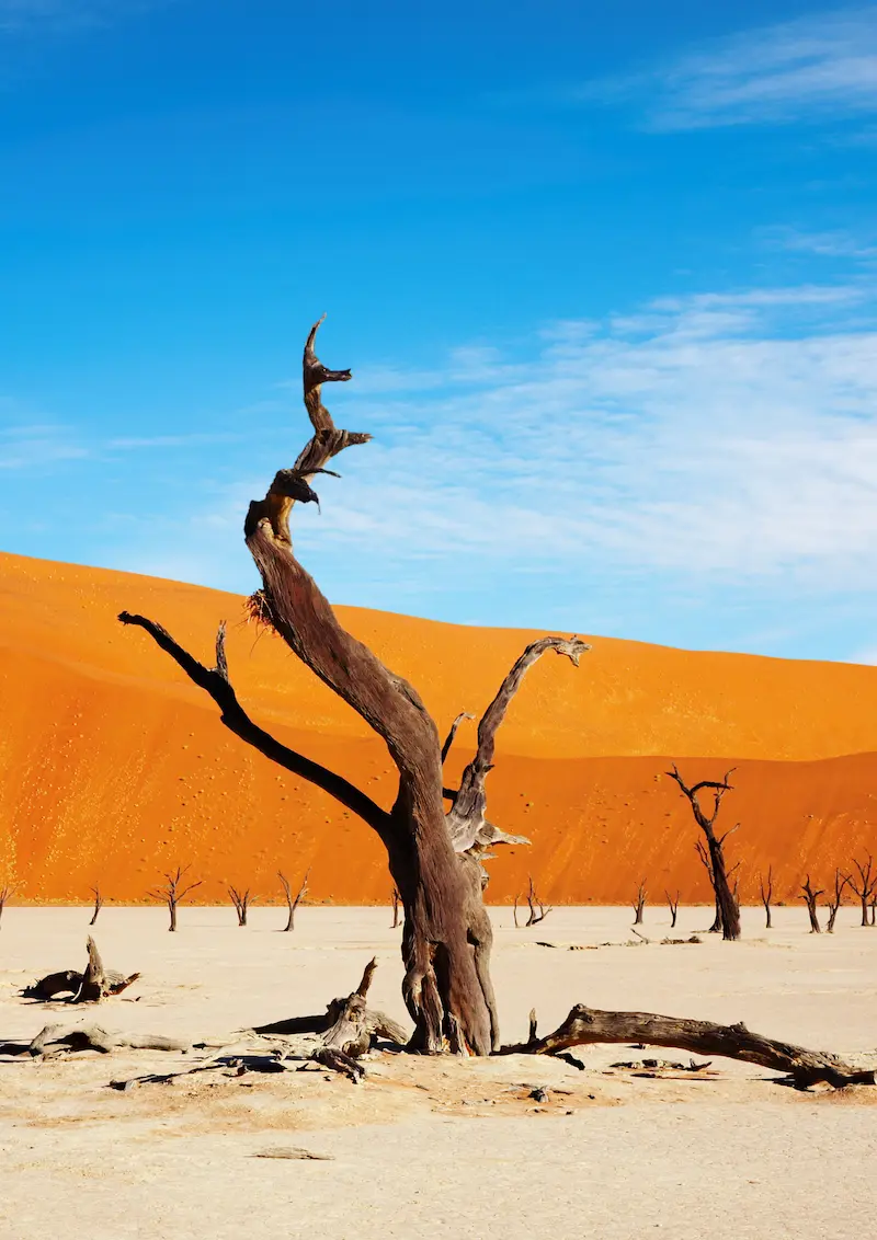 Namibia safari package