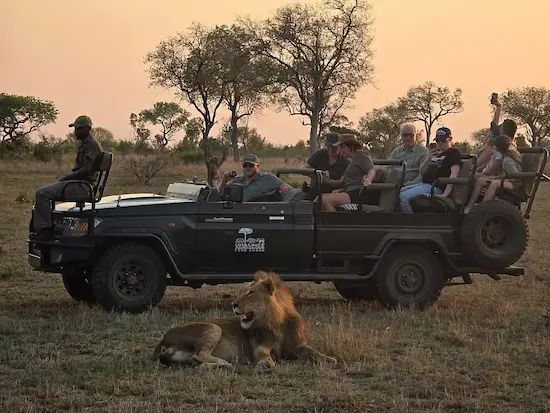Safari vehicle watching elephants in the Greater Kruger area