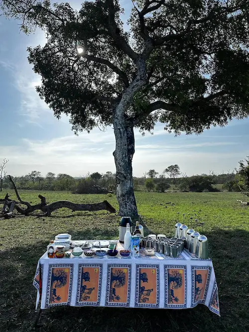 Bush breakfast safari experience at Umkumbe