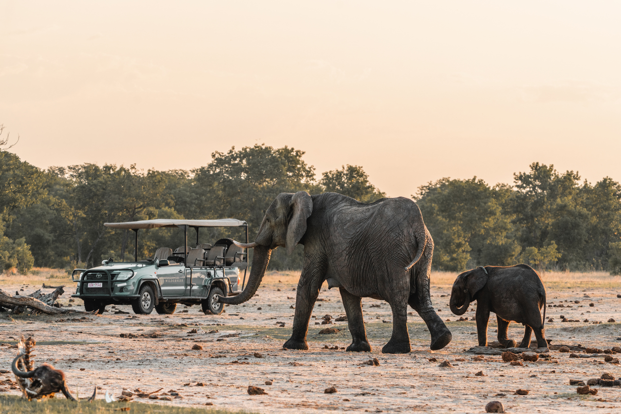 Elephants beside a safari vehicle in Hwange National Park