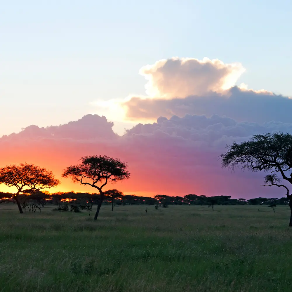 Serengeti balloon safari