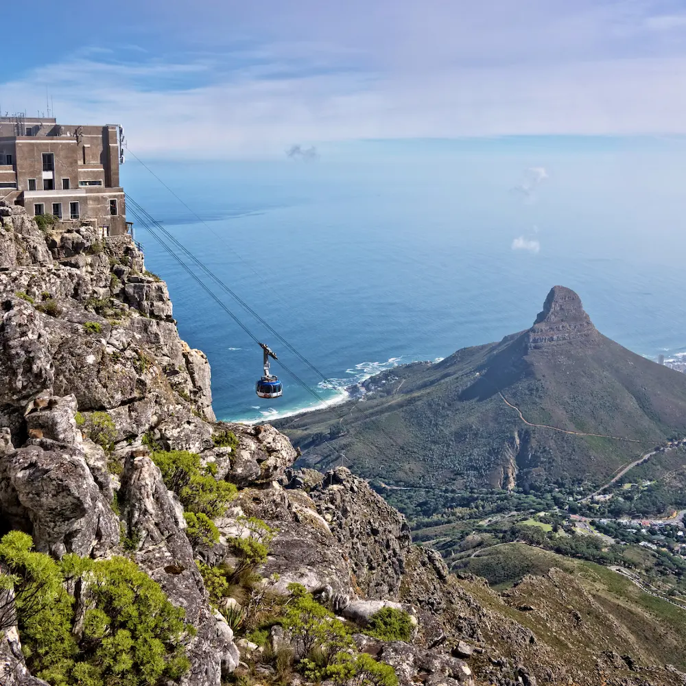 Table Mountain and Robben Island Tour from Cape Town