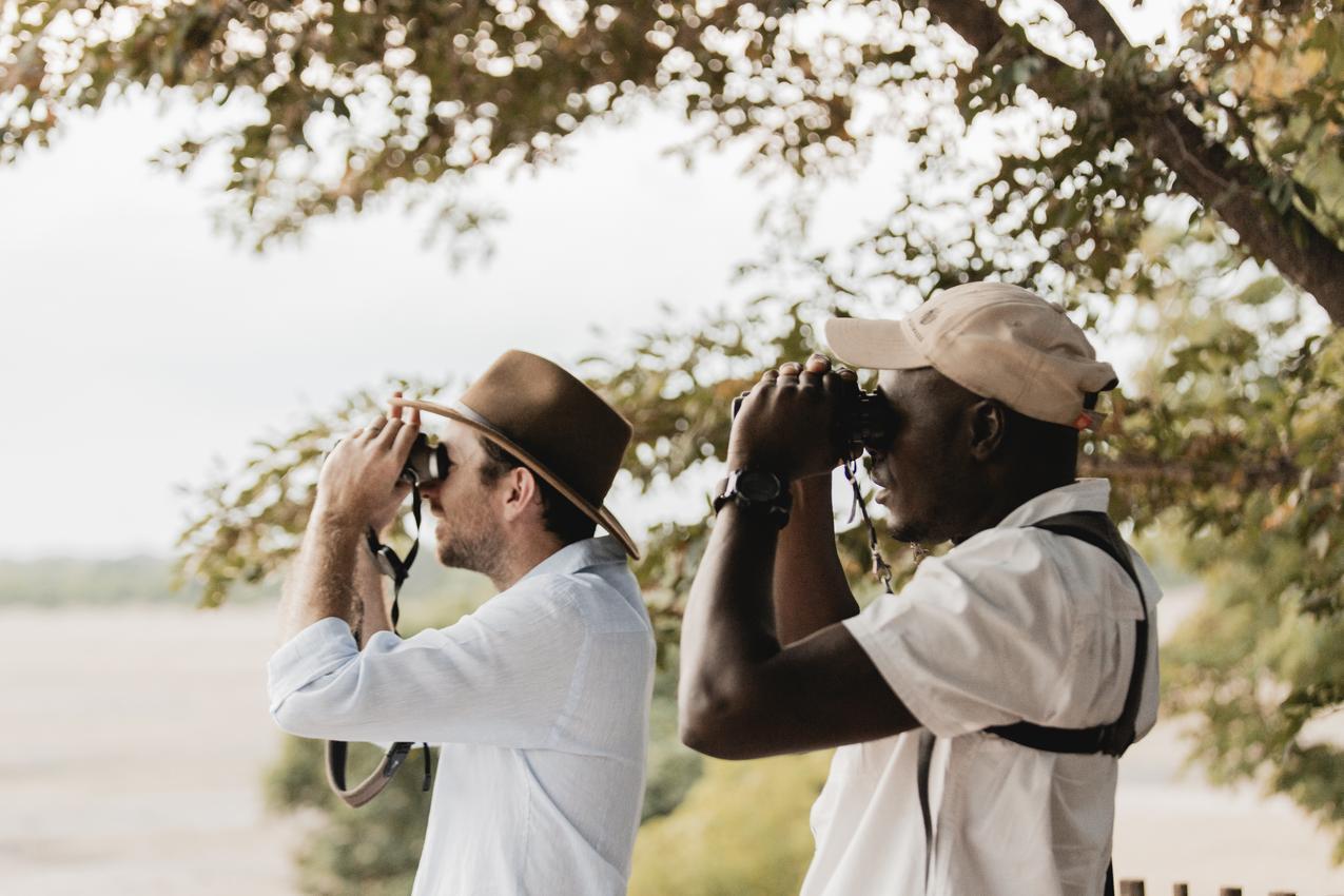 Traveller with binoculars on safari in Hwange