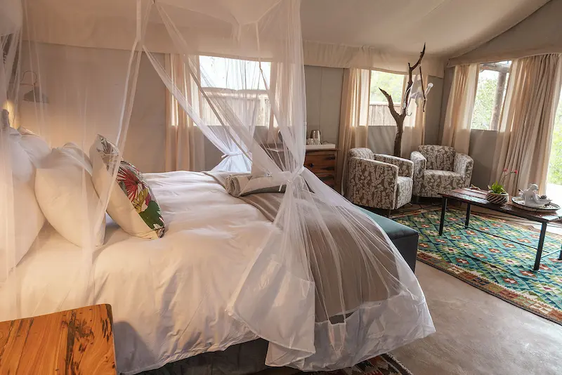Zebrawood tent at Umkumbe Bush Lodge