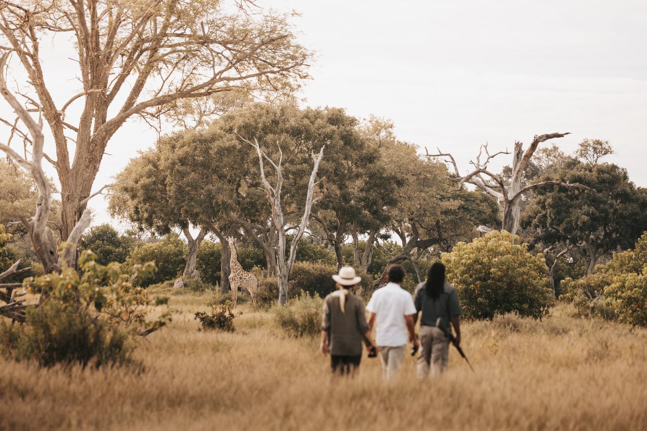 Small group on a walking safari