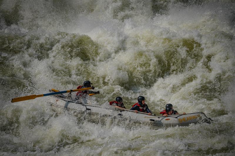 Rafters paddling through white water