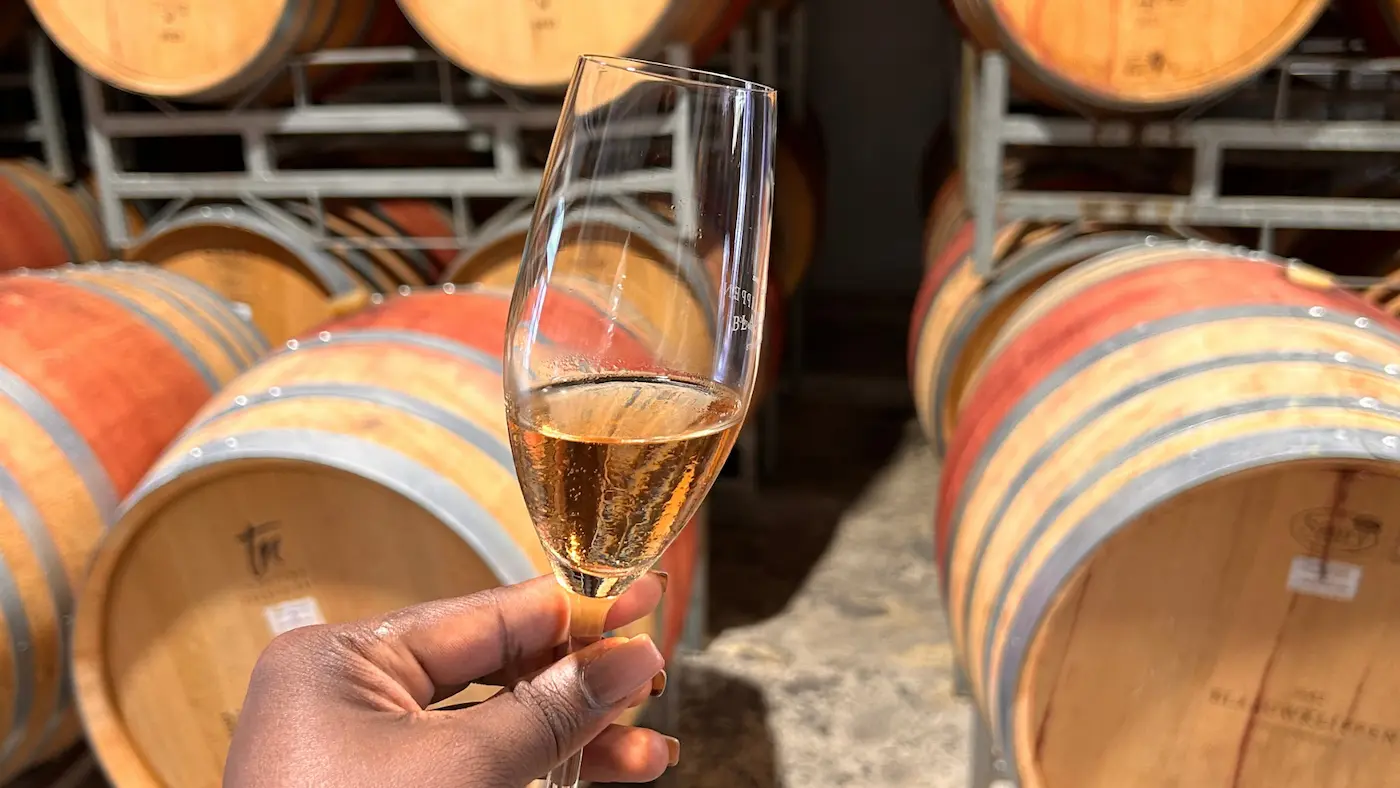 Half Day Cape Winelands Tour from Cape Town