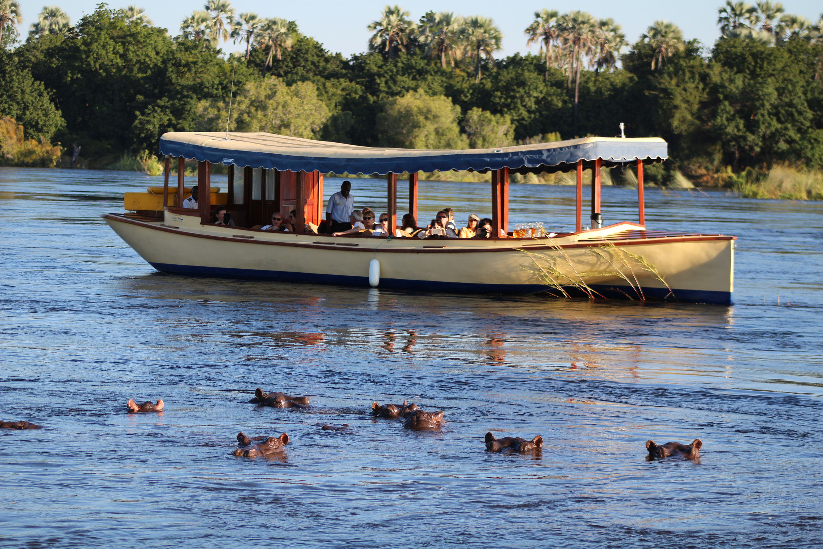 Luxury cruise on the Zambezi River
