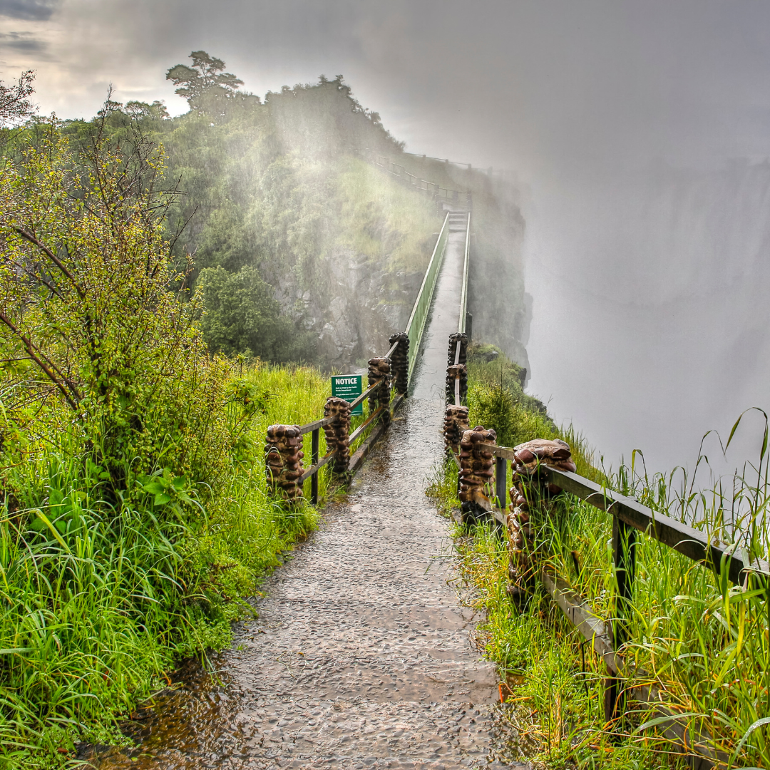 Kruger National Park and Victoria Falls safari combo
